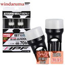 IPF ポジションランプ LED 車用 T10 70lm 6000K ホワイト 12V用 2本入 車検対応 拡散材配合レンズ採用 日本製 104W