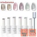 マグネットジェル マグネットネイル ジェルネイル Coikaze フラッシュネイル キャッツアイジェル 6色セット 磁石付き カラージェル 猫目 キャツアイ U...