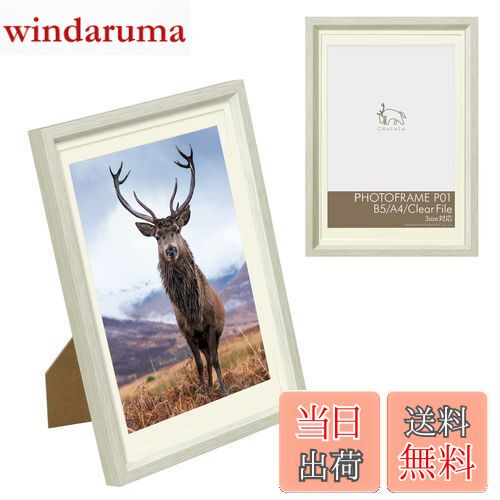 【送料無料】ハクバ 額縁 Chululu(チュルル)フォトフレーム P01 B5/A4/クリアファイルサイズ兼用 ホワイト FCHL-P01LWT