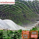 ONESORA ベランダ鳥よけネット 防鳥ネット 防鳥網 10×10m 取り付けインシュロック付属 カラス避け 鳩避け 鳥避け 猫脱走防止 野良猫侵入防止 テグ...