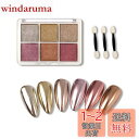 ALLMIRA オーロラパウダー ネイル 固形 6色パレット ネイルパウダー ジェルネイル カラー ネイルパーツ 自宅DIY ?細 スポンジチップ付き (02)