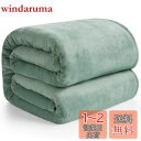【送料無料】Hansleep 毛布 セミダブル 冬用 ブランケット もうふ 160x200cm マイクロファイバー 柔らかく肌触り フランネル 洗える 軽量 静電防止 四季適用 (160x200,カルダモングリーン)