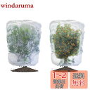 LIANHATA 防虫ネット 2個セット 植物保護カバー メッシュ巾着式 防鳥ネット 虫よけカバー 野菜網 鳥対策 通気性 虫鳥除け網 鉢植え用 野菜栽培 菜園プランター用 (80*100cm)