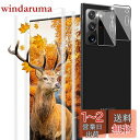 【2+2枚セット 指紋認証対応】 用 Galaxy Note20 Ultra ガラスフィルム 2枚 Galaxy Note20 Ultra 5g SCG06 SC-53A フィルム + 2枚 カメラ保護フィルムセッ 【 日本旭硝子製 9H強度 】 対応 ギャラクシー note20 ultra 強化ガラス 全面 保護フィルム ケース 高透過率 3D