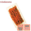 【送料無料】花 ジオラマ用素材 草花シリーズ オレンジ 情景コレクション グラス模型 建物モデル 装飾 風景 箱庭 鉄道模型 ジオラマ PJ07OR-1JP