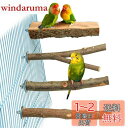 4点セット入り 鳥 止まり木 止まり台 爪を磨くりんごの木 自然木 噛むおもちゃ 爪を研ぎ パーチ インコ オウム 鳥 文鳥 セキセイインコ オカメインコ おやすみボード 遊び道具 ケージアクセサリー 取り付け簡単 オウムスタンド ペット遊び場 バランス練習 小さなペット用