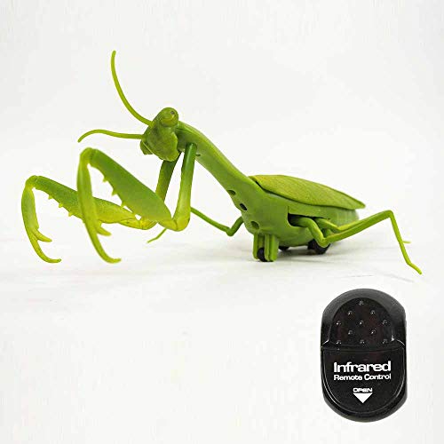 【送料無料】カマキリ ラジコン Mantis Radio Controlled