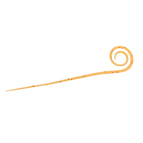 【送料無料】ダイワ(DAIWA) 紅牙 シリコンネクタイ 中井チューン STCスリム