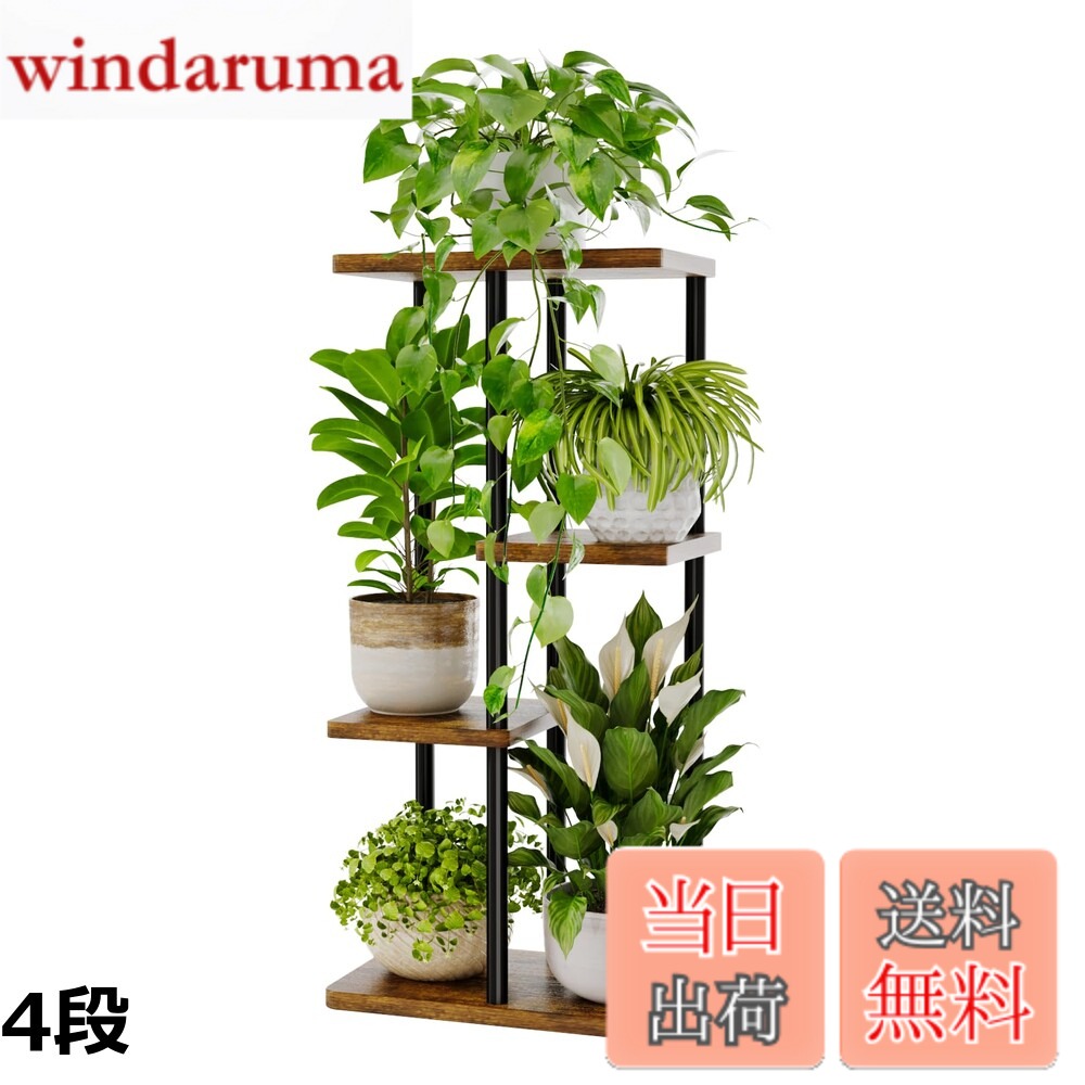 ������̵����Bamworld �ե�������� ������ �ץ�󥿡�������� 5�ʼ����� �����ʡ����տ�ʪ�� �����ǥ˥󥰥�å� ���� �٥��...