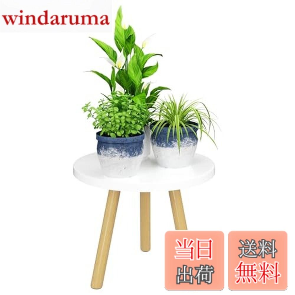 ������̵����Bamworld �ե�������� ���� �ץ�󥿡�������� ���տ�ʪ �� ���� ������� ���� ����ȭ ������� ��ӥ� ��...