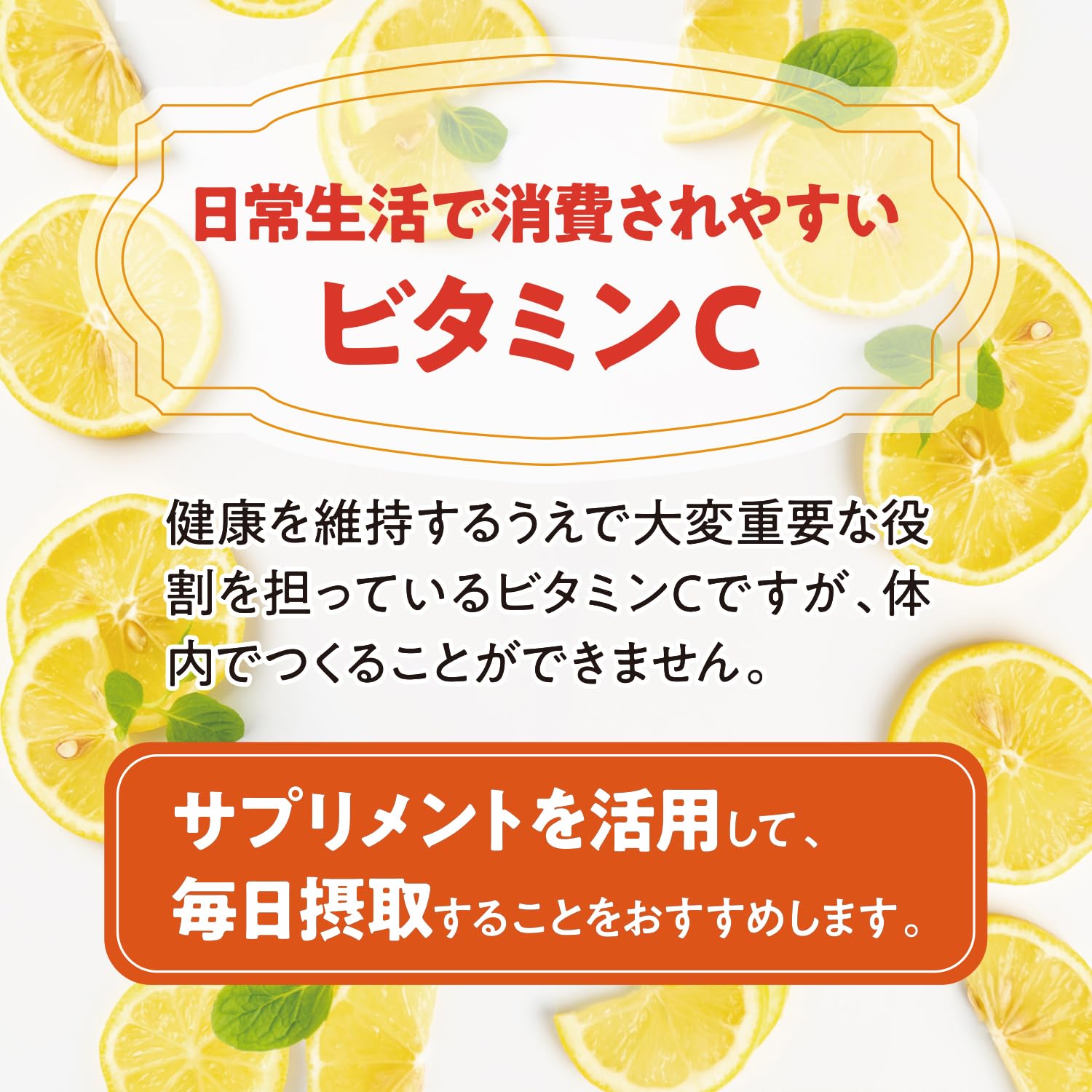 【送料無料】マルチビタミン サイズ：180粒 (x 1) windaruma-10175070 windaruma サンプル画像3