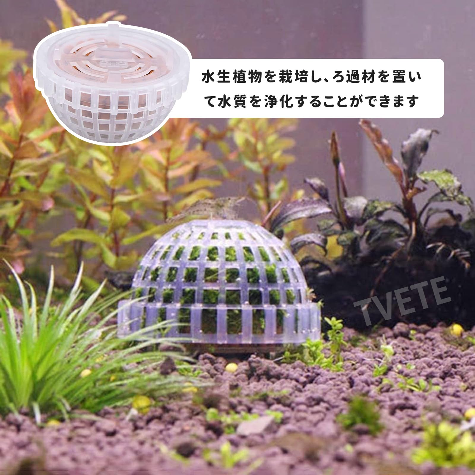 【送料無料】TVETE 水生植物固定 水槽 固定 水族館の植物スタンド【2個パック】水...