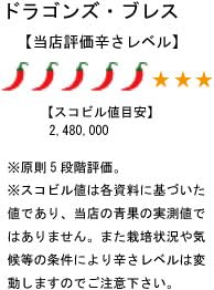 【送料無料】国産 激辛生唐辛子 ドラゴンズ・ブレス 冷凍品 250g 千葉県産 windaruma-10250880 windaruma サンプル画像3