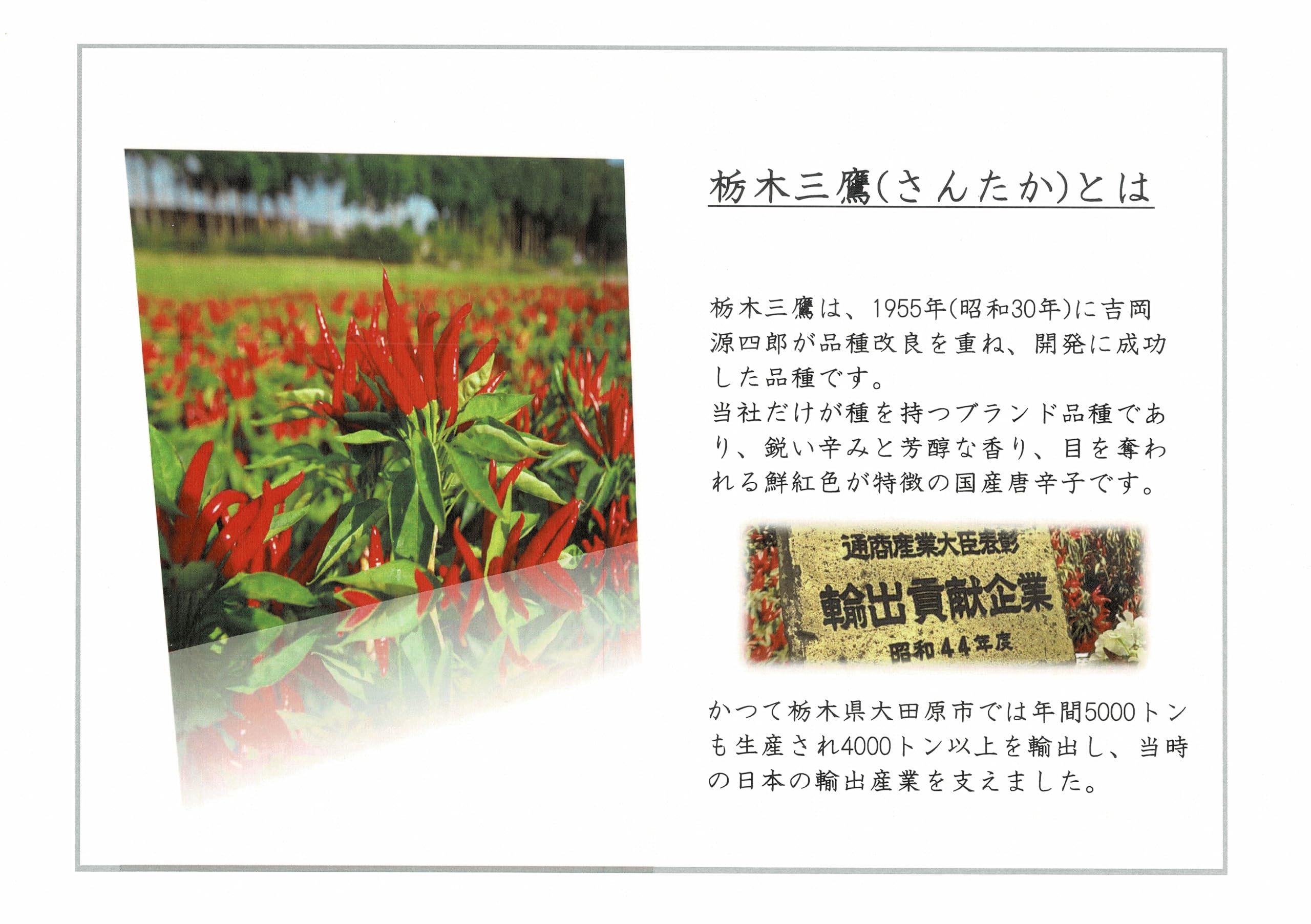 【送料無料】鉄釜一味(小袋10g)