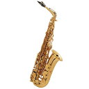 Selmer Paris 【春得フェア】【チョイキズ特価!!】アルトサックス セルマー SA-80II(シリーズ2) ジュビリー GL w/e(彫刻付) 【調整...
