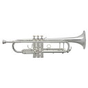 Bach バック / TR-400 SP 【Bb トランペット】【調整後出荷】 トランペット Bbトランペット