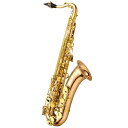 YANAGISAWA 【チョイキズ特価!!】テナーサックス ヤナギサワ T-WO20 【調整&セットアップ後出荷】【5年間キーバランス調整無料】 サックス テナ...