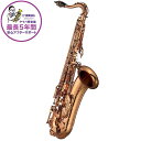 YAMAHA テナーサックス ヤマハ YTS-82ZA 【調整&セットアップ後出荷】【5年間キーバランス調整無料】【演奏&お手入れに必要なもの全て付いてます】 ...