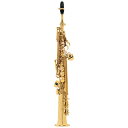 Selmer Paris 【春得フェア】【チョイキズ特価!!】ソプラノサックス セルマー SERIEIII(シリーズ3) ジュビリー GL w/e(彫刻付) 【...