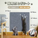 ★5%OFFクーポン★ 猫 爪とぎ シート 大判 猫用 つめとぎ ネコ 爪とぎ マット つめとぎシート つめとぎ 爪研ぎ ストレス解消 ソファー 壁 家具保護 壁紙保護シート 爪とぎ防止 ペット用品 猫用品 ペット用 おもちゃ お手入れ ポスト 貼り付けテープ ベッド ネコ 一人暮らし