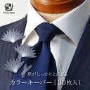 ゆうパケットウィンザーノット WindsorKnot ワイシャツ えり カラーキーパー 30枚セット カラーステイ 衿先 襟芯 ビジネス小物 カラー芯 カラーボーン プラスチック 衿裏 挿入 500円ポッキリ 買いまわり ポイント消化※ギフトラッピング対象外※