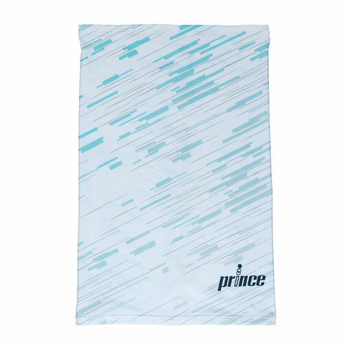 SALEۥץ ICE DRY եС PO665-218 [prince ACC ꡼]21SS