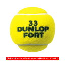 ダンロップ [DUNLOP] FORT フォート 1缶（1缶2球入） [ITF/JTA公認球] ウインザーオリジナルダブルナンバー 2023 2