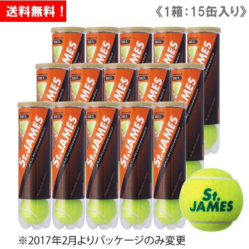 ダンロップ [DUNLOP] テニスボール St.JAMES（セントジェームス）