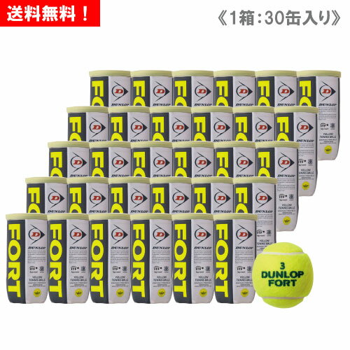 ダンロップ [DUNLOP] FORT フォート 1箱（1缶2球入/30缶/60球） [ITF/JTA公認球]