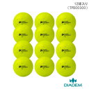 【〜7/21迄 P10倍】【ピックルボール】ダイアデム オフィシャル ピックルボール 12PK (DIADEM THE OFFICIAL PICKLEBALL ...