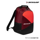 ダンロップ バックパック（テニスラケット2本収納可） [DUNLOP BAG DTC-2431 ブラック×レッド] 24SS