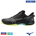ミズノ ウエーブエクシード 5 SW AC (WAVE EXCEED 5 SW AC 61GA2316 46カラー) MIZUNO テニスシューズ メンズ・レデ...