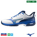 ミズノ ウエーブエクシード 5 WIDE OC (WAVE EXCEED 5 WIDE OC 61GB2313 39カラー) MIZUNO テニスシューズ メン...