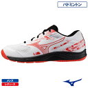 ミズノ スカイブラスター 4( MIZUNO SKY BLASTER 4 71GA2533 01カラー )バドミントンシューズ メンズ・レディース 25SS▼