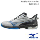 ミズノ ウエーブエクシード 5 ワイド CS 61GR231103 MIZUNO WAVE EXCEED 5 WIDE 男女兼用 カーペットコート用 23SS