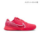 【SALE】ナイキ ズーム ヴェイパー PRO 2 HC（DR6191-800）［Nike シューズ メンズ ハードコート用 23FA