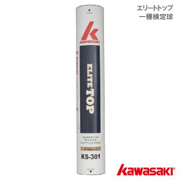 カワサキ [KAWASAKI] エリートトップ （ ELITE TOP KS-301 ）1ダース 一種検定球