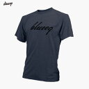 ブルイク DRY TEE -SCRIPT LOGO （ BQAS - 00007 - DARKGRAY ）[ blueeq MS メンズ ]22FW