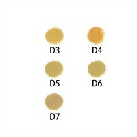 DERMA COLOR ダーマカラー ボディカバー☆☆ファンデーション ボディ用 夏 下地アザ シミ ボディカバー