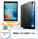 iPad mini5 2019 保護フィルム のぞき見防止 ipadMini4 フィルム 見防止 ガラス 強化ガラス 覗見防止覗き見防止 9H のぞき見防止 メール便 送料無料