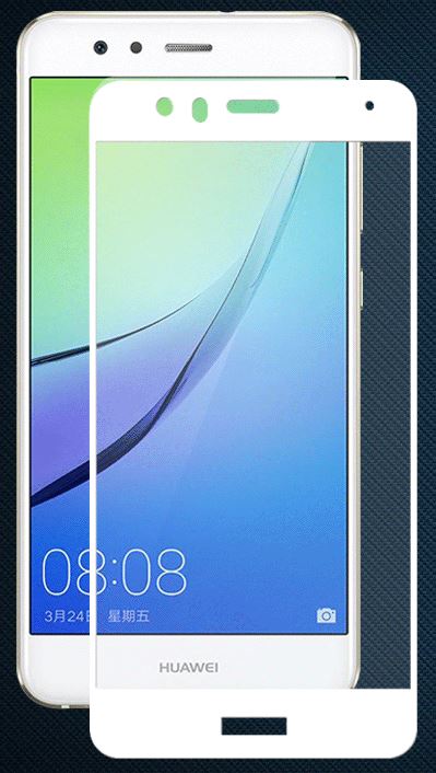 Huawei nova lite2 ݸե novalite2 ̥ե롼С lite 2 饹ե 饹 ե ݸ 饹 ݸե   ᡼