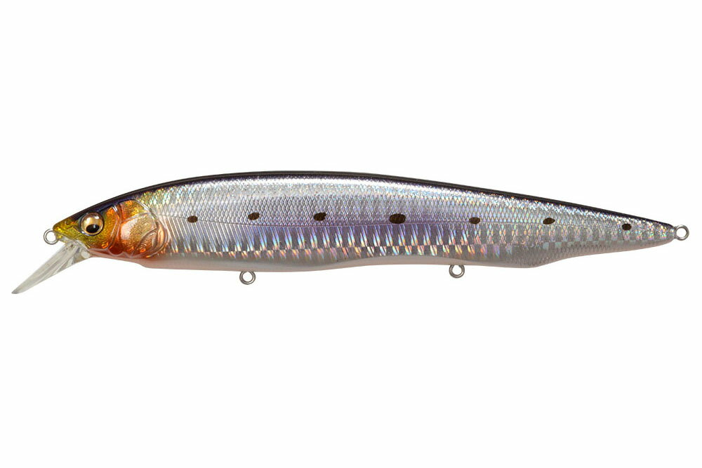 メガバス (Megabass)KANATA AYU SW (カナタ鮎 SW)GG イワシ