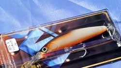 LIP IN BAIT (シンキング) PM TLO