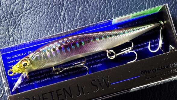 ᥬХ(Megabass)VISION110Jr.(ӥƥJr.)SWGG亮