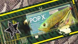 POPX(SP-C)SSLAMPOP