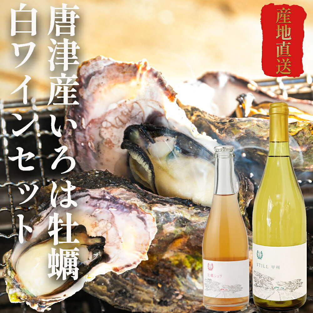 唐津産 産地直送 殻付き牡蠣 牡蠣 牡蛎 殻付き ワイン セット 大人気 お買い得 おすすめ 2キロ 3キロ カキ いろは牡蠣 2kg 3kg 佐賀県 海鮮 BBQ バーベキュー 海鮮バーベキュー 加熱用 お取り寄せ プレゼント 贈り物 ギフト 冬ギフト ギフト 海のミルク 国産 おつまみ お礼