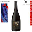 送料無料 ソムリエ厳選 カリフォルニア 飲み比べ 辛口 赤ワイン ワインセット 内祝い 内祝 誕生日 お祝い 結婚祝い 退職祝い ワイン ギフト ワインギフト 飲み比べ 高級ワイン 結婚 退職祝い 還暦祝い 結婚記念日 お礼 お返し 就任祝い ピノノワール