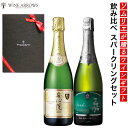 入手困難 数量限定 紅白 スパークリング ワイン ギフト 飲み比べ 辛口 大分 安心院 内祝い 内祝 退職祝い 就任祝い 国産 日本ワイン 山形県産 高畠ワイナ...