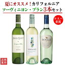 【送料無料】カリフォルニア ソーヴィニヨン・ブラン セット ワイン 3本セット 白ワイン さわやか 750ml×3本 お歳暮 敬老の日 シーグラス ジョエルゴッ...
