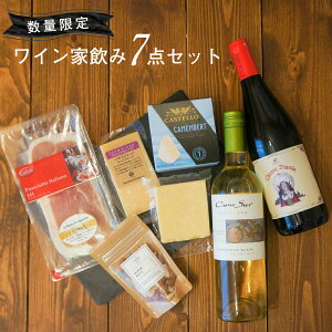 ワイン チーズ コノスル 家飲みセット 詰め合わせ セット お得 おつまみ 赤 白 パルミジャーノ 生ハム プロシュート ナッツ 送料無料 プレゼント ワインギフト ナチュラルチーズ ハードチーズ カマンベール